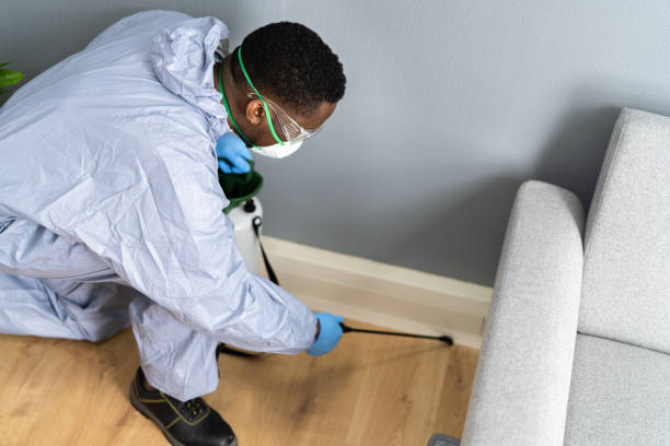 Pest Control for Hotels in Youngsville, LA